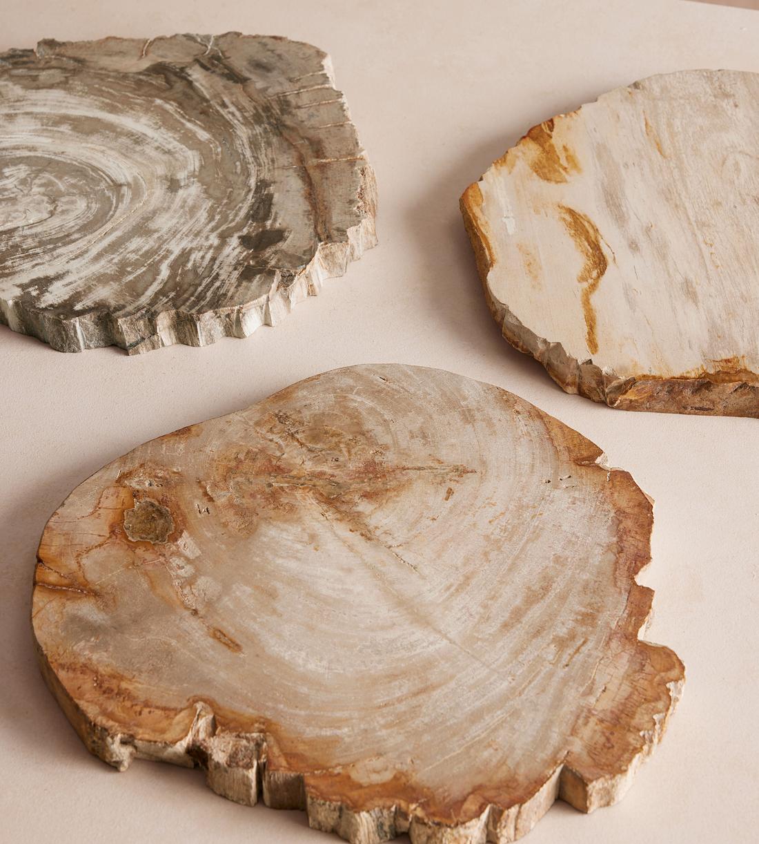 Balfern Petrified Wooden Serving Board| White