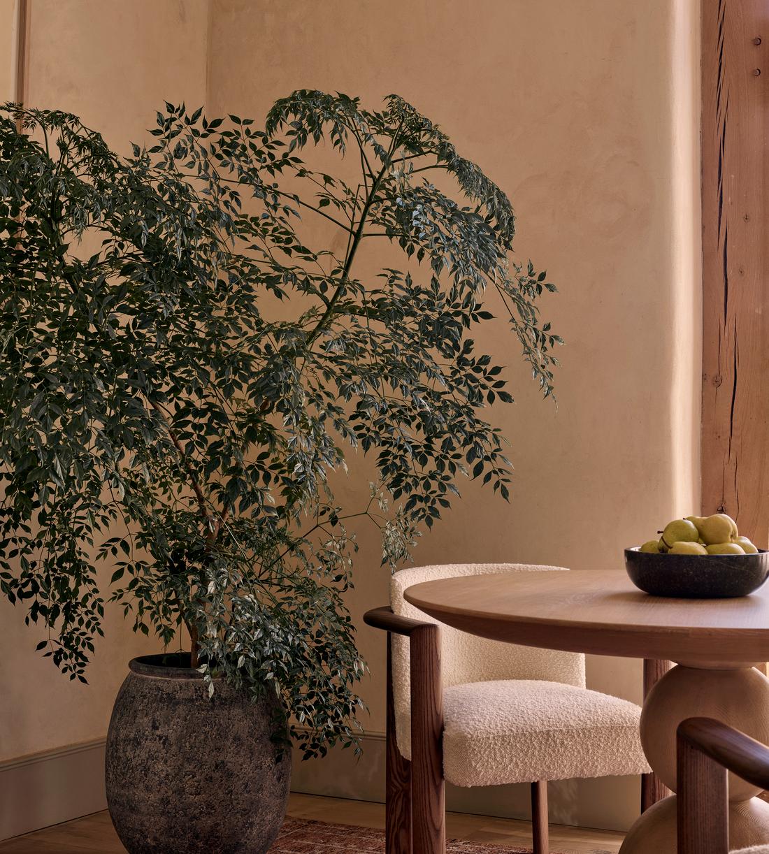Renata Farmhouse Planter, Wide