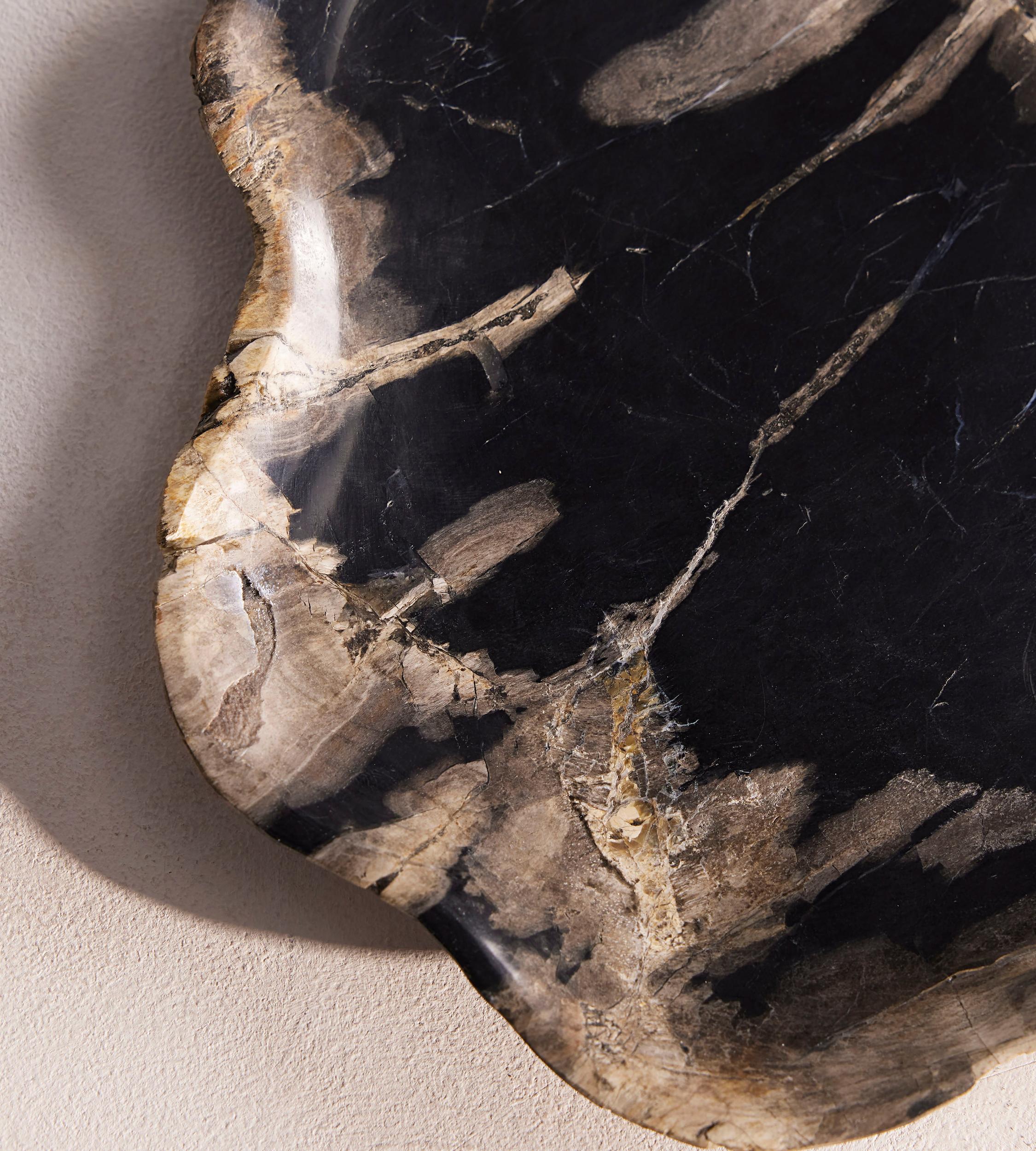 Balfern Petrified Wood Platter, Large