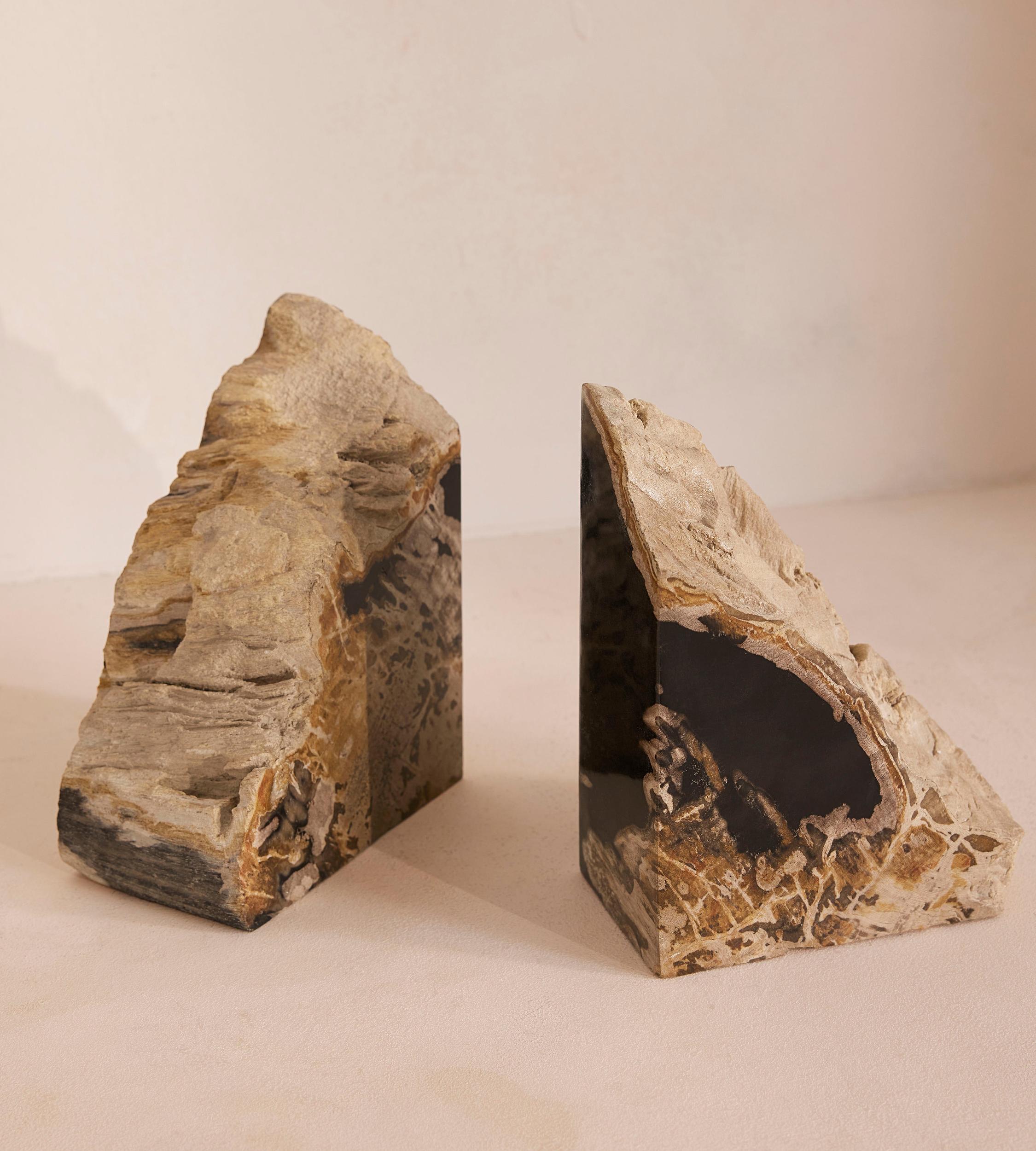Balfern Petrified Wood Bookends