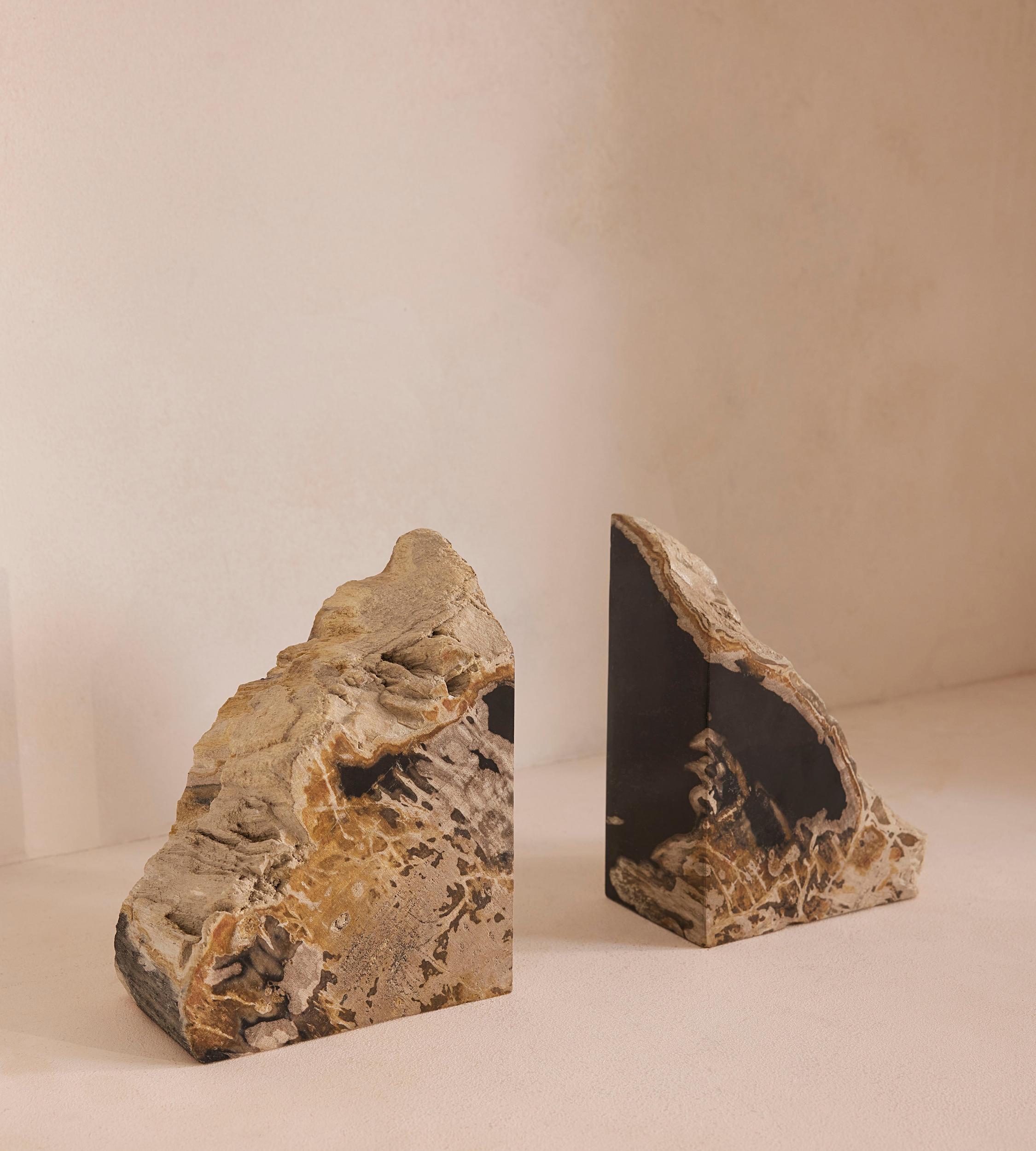 Balfern Petrified Wood Bookends