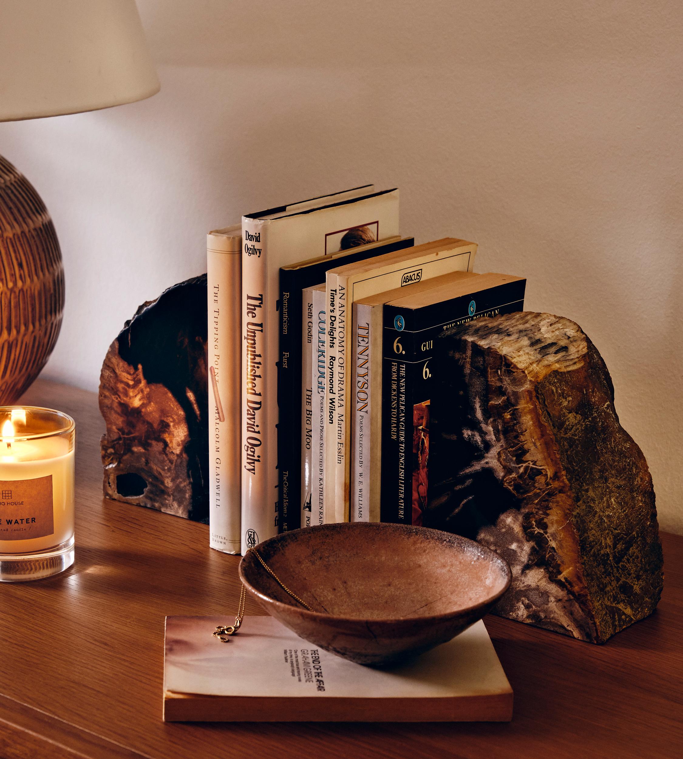 Balfern Petrified Wood Bookends