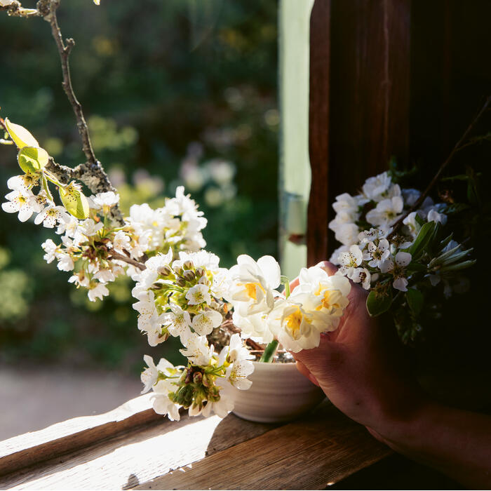 A bowl of white flowers arranged by a hand rests on a sunlit wooden windowsill, with an outdoor garden visible through the window.