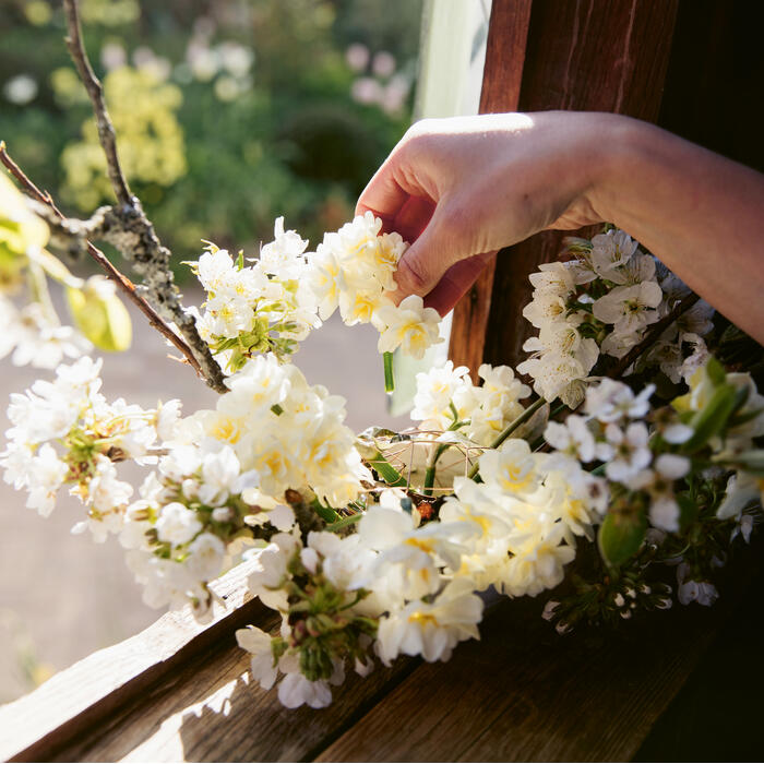 A hand gently touches white blossoming flowers on a branch near a wooden window frame, with a lush garden visible in the background.