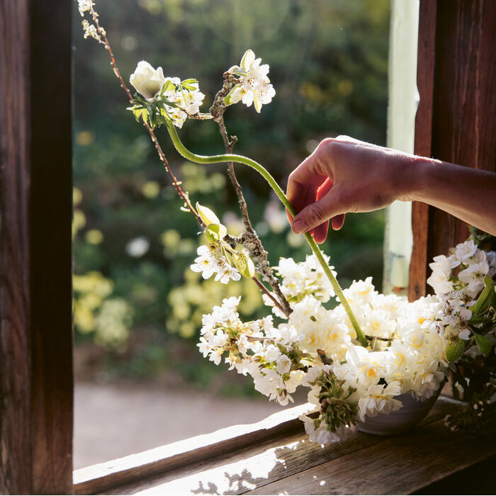 A hand arranging white blossoming flowers in a bowl on a sunlit wooden windowsill, with a lush green garden visible through the open window.