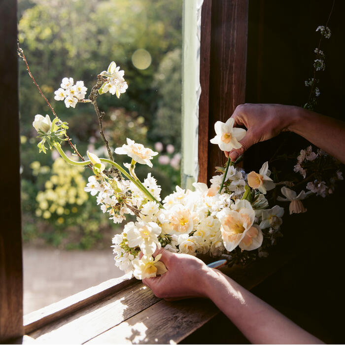 Arms arrange a bouquet of white and yellow flowers on a wooden windowsill, with sunlight streaming through a window and a lush, green garden visible outside.