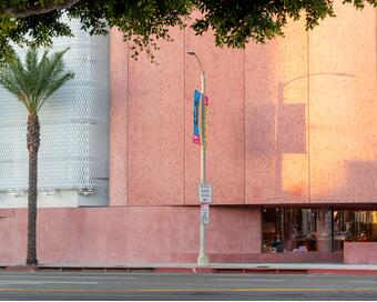 The large, peach-colored building labeled "THE WEBSTER" has a modern design and stands beside a palm tree and a lamppost with colorful banners on a street in an urban area. Text on a sign reads, "BEVERLY CENTER ACCESS ONLY".