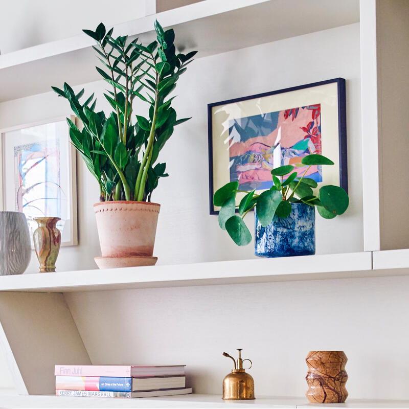 Bookshelf with potted plants, books, and decorative items displayed. A chair holds an open book. The room has a wooden floor and framed art.