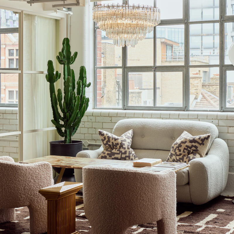 A cozy room features a plush sofa and chairs with patterned cushions, a large cactus, a chandelier, and large windows revealing an urban cityscape with brick buildings.