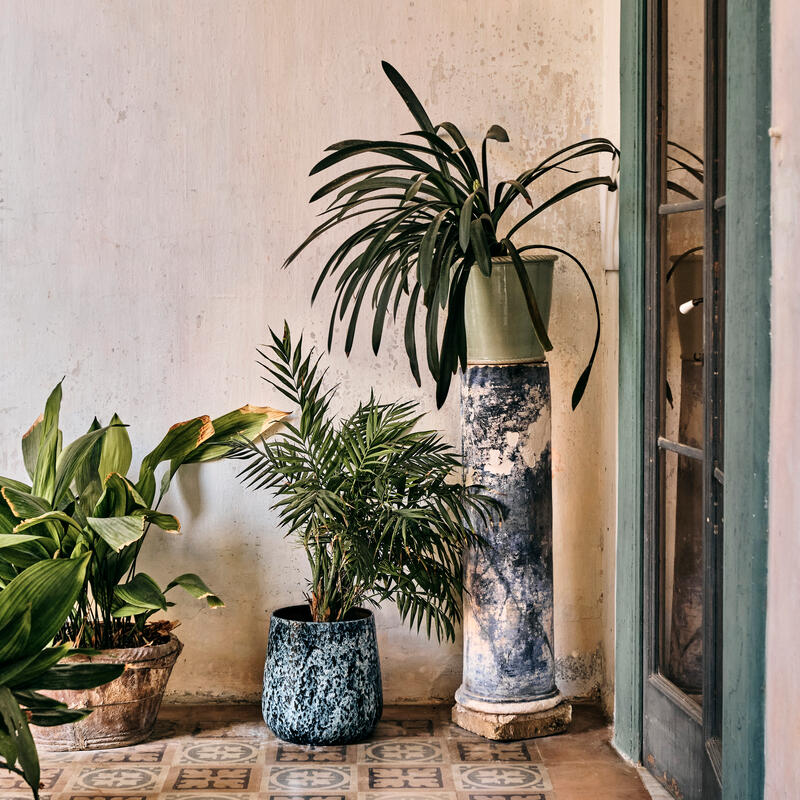 Potted plants stand on patterned tiles against a textured, off-white wall featuring a small, decorative ventilation grill. A tall, narrow window with a green frame is partially visible on the right.