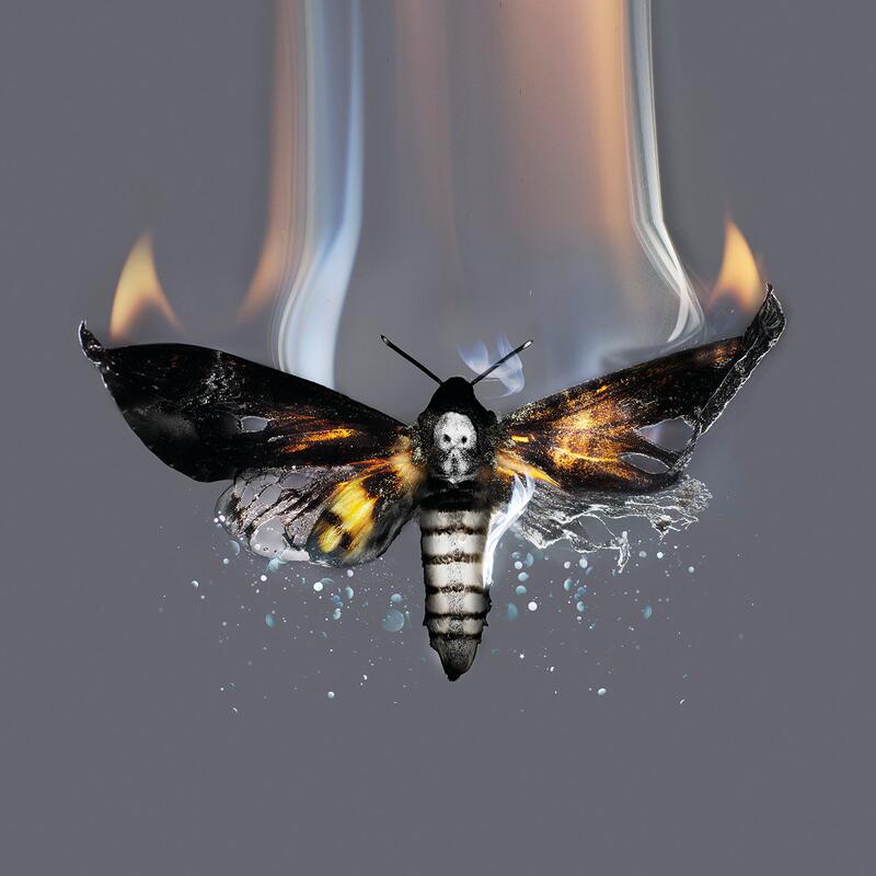 A moth with a skull pattern on its thorax appears to be burning, with its wings partially disintegrating amid flames, set against a solid grey background.