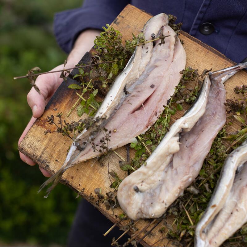 Someone holding a wooden board topped with raw fish fillets and herbs, wearing a blue jacket, standing outdoors against a blurred green background.