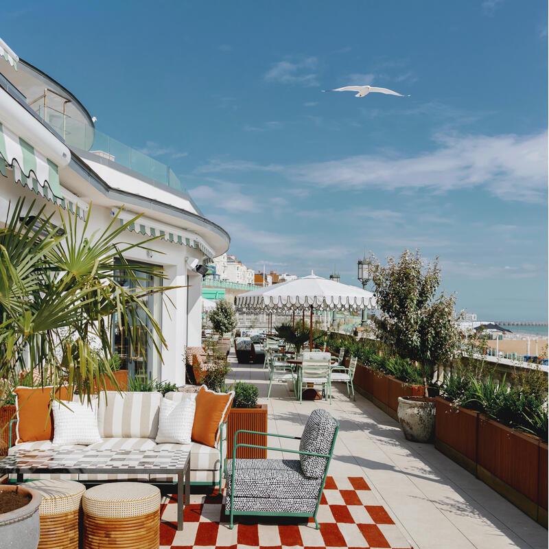 Modern terrace with potted plants and outdoor seating under green and white-striped awnings; a seagull flies overhead. In the background, view of the sea, sandy beach, and distant buildings.