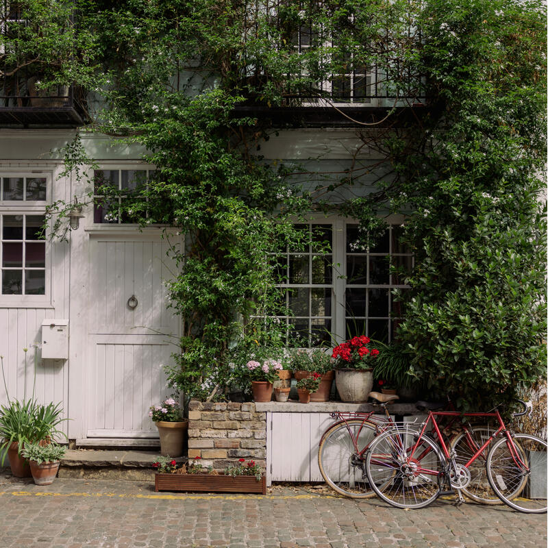 Bicycles leaning against a white brick house entrance, adorned with potted plants and climbing greenery, with cobblestone pavement in front and a balcony above.