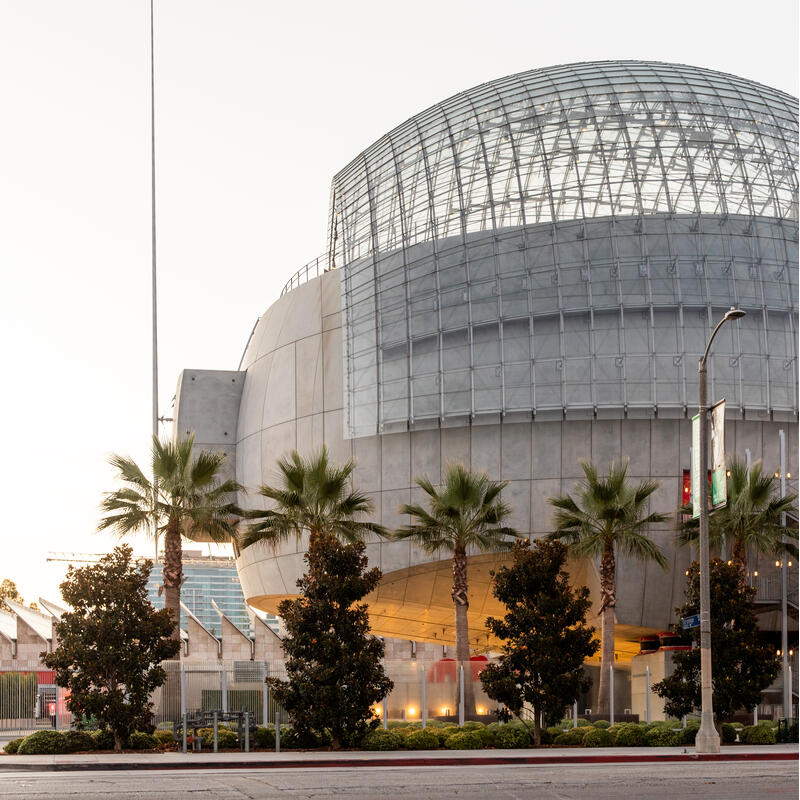 A large, spherical glass-domed building with a solid grey base stands among a row of palm trees and bushes, with a street and lamppost in the foreground.