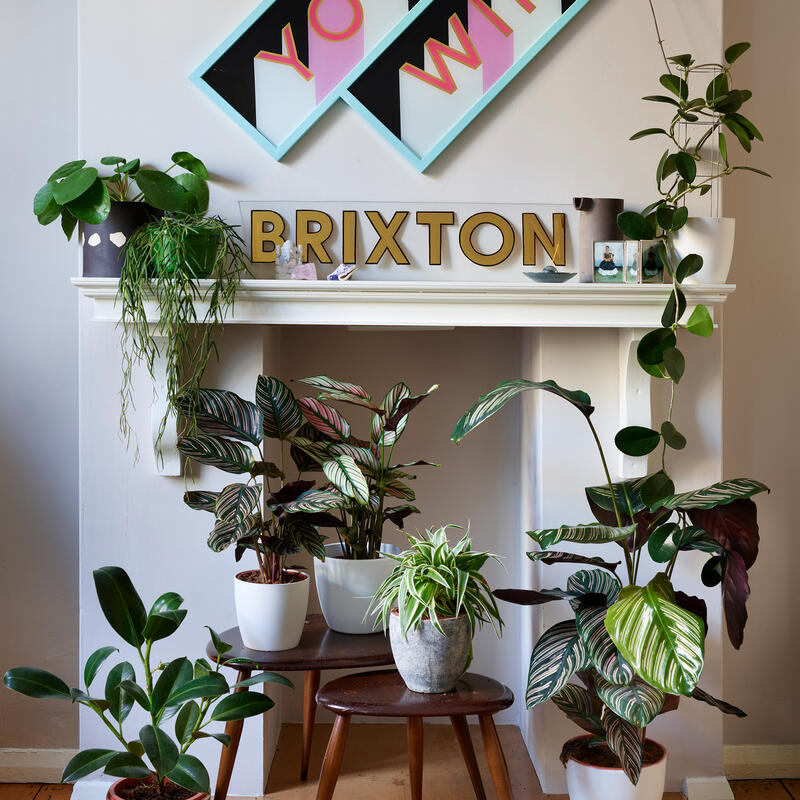 Potted plants are arranged on and around a white mantel in a wooden-floored room. Above the mantel, two framed posters say "YOU" and "WIN". A sign reads "BRIXTON".